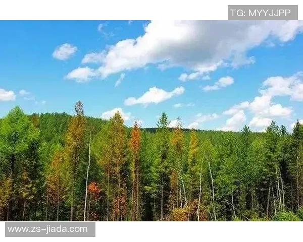 探索埃斯特旺的魅力与风情，感受独特文化与自然景观的完美结合