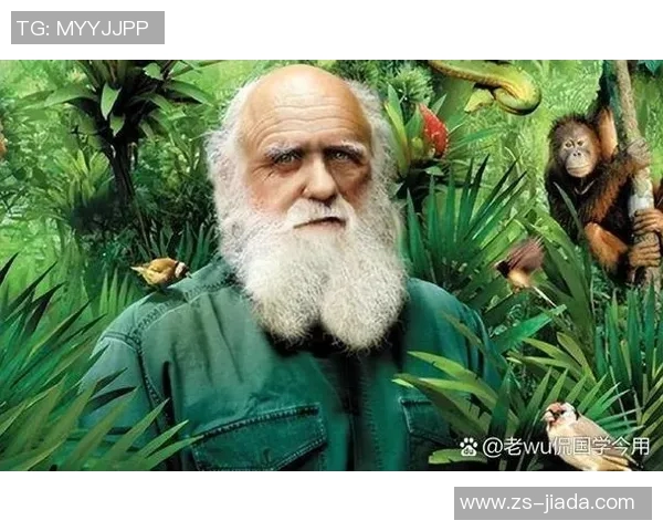 萨林杰的文学世界探索与其影响力的深远分析