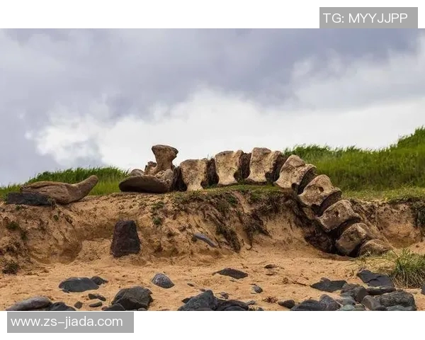 奥德与维京历史的交汇点探秘与文化传承之旅 奥德与维京历史的交汇点探秘与文化传承之旅