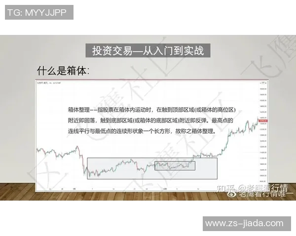 深入分析上海乒乓球队转换打法的战术特点与实战应用