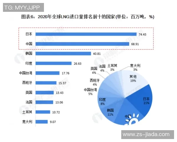 独家解析LNG市场竞争策略与战术对比分析深度剖析